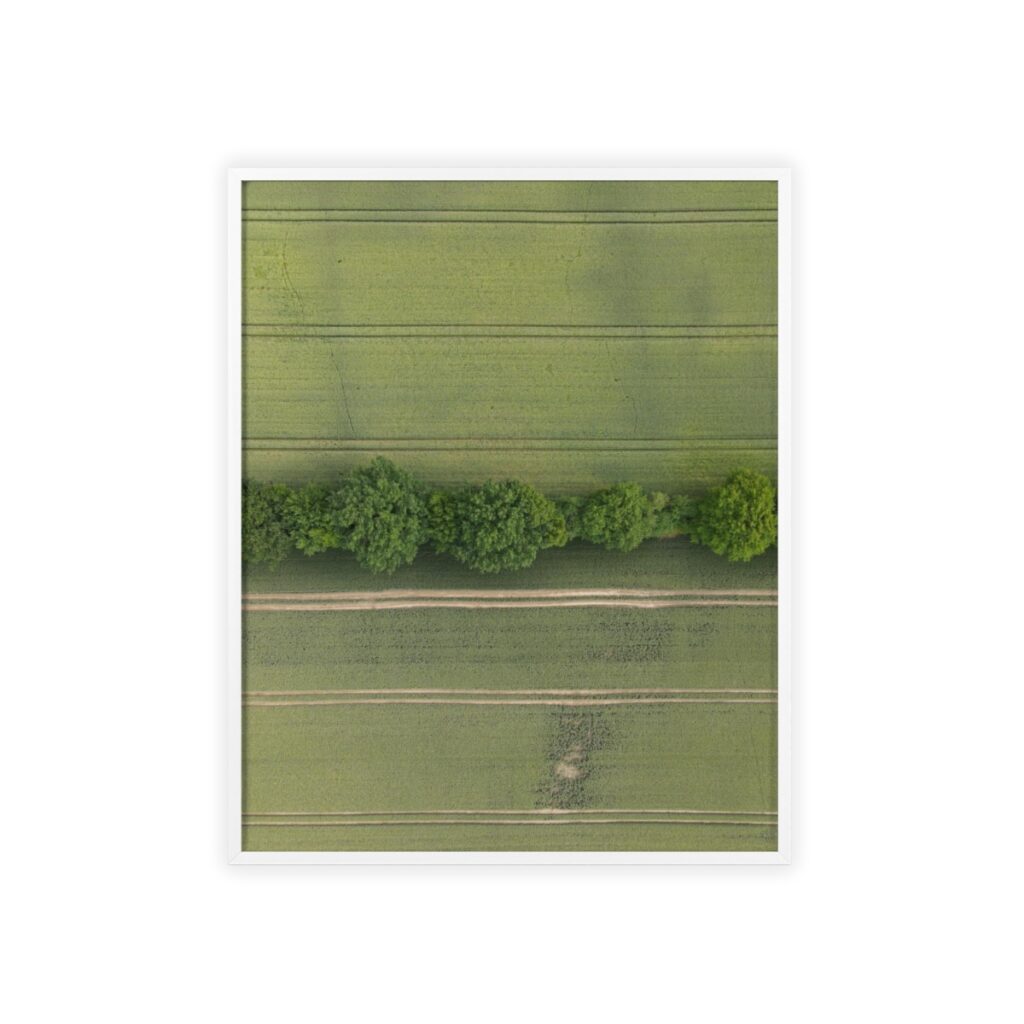 Field Set (1/2)