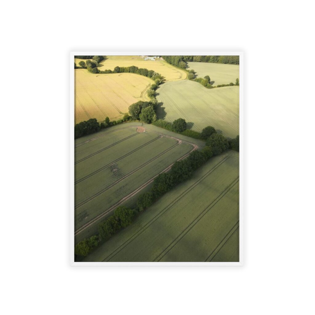 Field Set (2/2)
